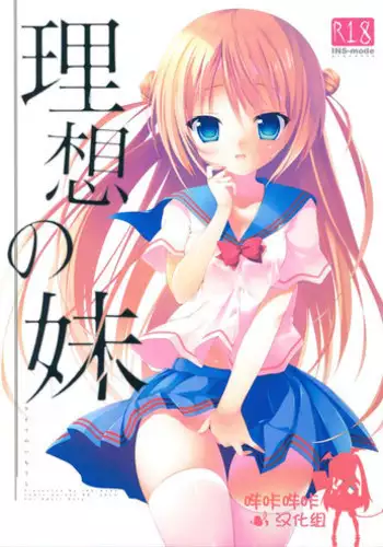 (C88) [INS-mode (Amanagi Seiji)] Risou no Imouto [Chinese] [嗶咔嗶咔漢化組]