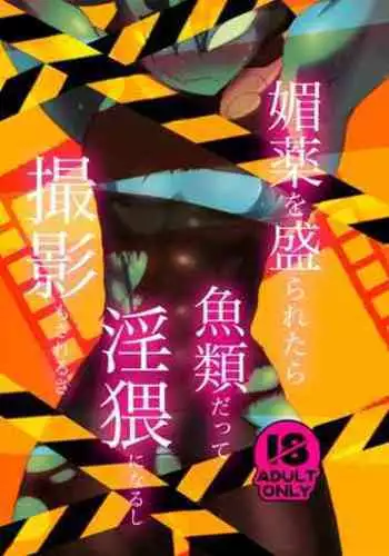 ３冊めのザプツェ本