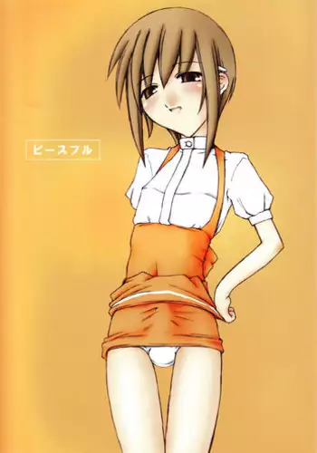 (C63) [Sasaduka (Riuichi)] Peaceful