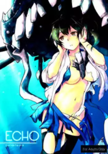(Ware, Yasen ni Totsunyuu su! 2) [Hoshino Seikaten (Hoshino Ichiyoru)] Echo (Kantai Collection -KanColle-)