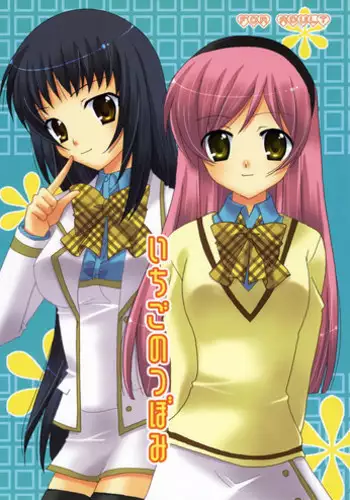 (C71) [Angelbox (Hazuki Ruka)] Ichigo no Tsubomi (Strawberry Panic!)