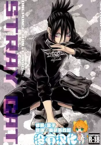 stray cat (沒有漢化）