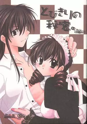 (C64) [Sakurakan (Seriou Sakura)] Tobikikiri no Himitsu (Inuyasha)