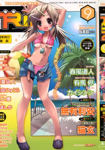 COMIC RiN 2008-09