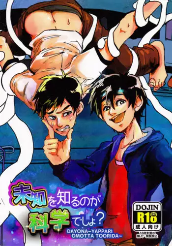 (CCTokyo137) [Pepeya (Okimochanyarou)] Michi o Shiru no ga Kagaku desho? (Big Hero 6)