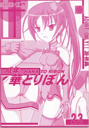 (C72) [HANA TO RIBON (Puripuri Uemon)] Seinen Hana To Ribon 23 (Sky Girls)