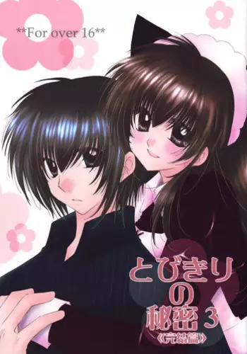 (C68) [Sakurakan (Seriou Sakura)] Tobikiri no Himitsu 3 <<Kanketsuhen>> (Inuyasha)