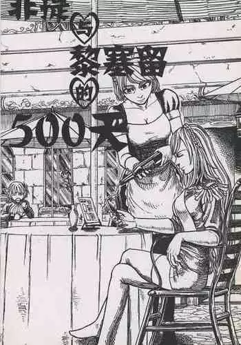 非提与黎塞留的500天 2