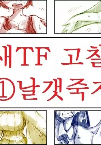 Study and practice about bird TF