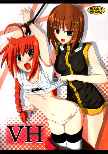 (C75) [Yoru no Benkyoukai (Asurai Masaki, Fumihiro)] VH (Mahou Shoujo Lyrical Nanoha) [English] [SaHa]