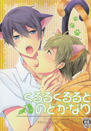 (SUPER24) [Kyuukyuubako (Band Aid)] Kururu Kururu to Nodo ga Nari (Free!)