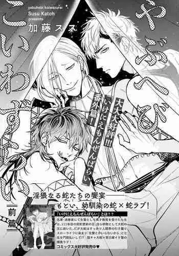 Yabuhebi Koiwazurai | 惹恋上身 前篇+后篇