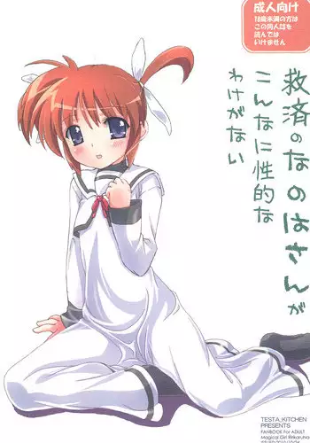 (Mimiket 23) [Testa Kitchen (Testa)] Kyuusai no Nanoha-san ga konnani Seiteki wake ga nai (Mahou Shoujo Lyrical Nanoha)