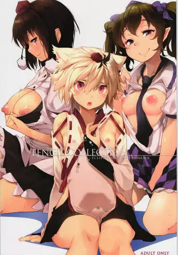 (Reitaisai 12) [Eclipse, Mochi-ya, Hannama (Rougetu, Karochii, Soine)] TENGU COLLECTION (Touhou Project) [Chinese] [?????????]