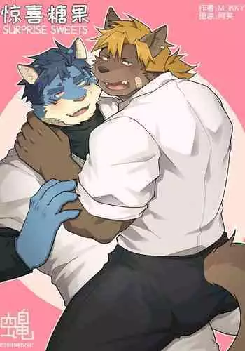 SURPRISE SWEETS|惊喜糖果