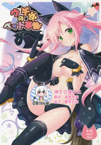 (C91) [Animal Herb (Yano Mitsuki)] Uchi no Pet Jijou 4 [Chinese] [绅士仓库汉化]