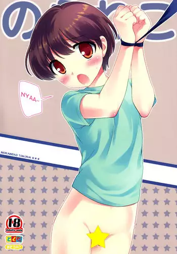 (C84) [Tokuda (Ueda Yuu)] Noraneko | Stray Cat [English] [Shotachan Translations]