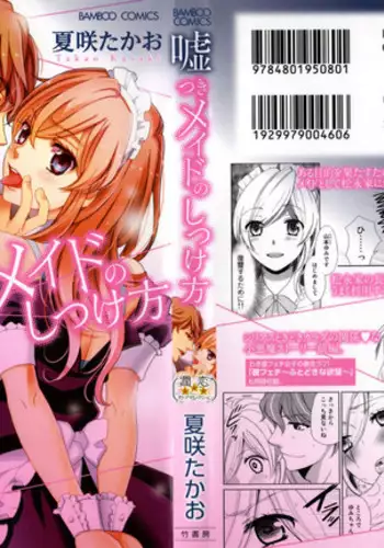 Usotsuki Maid no Shitsuke Kata - How to Discipline a Lying Maid