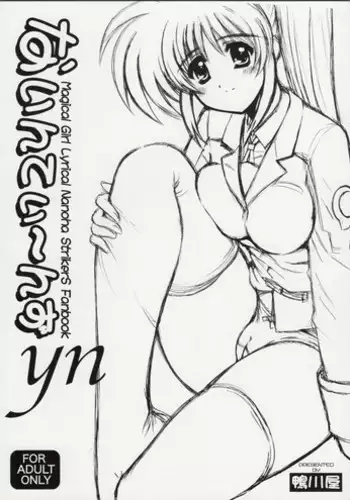 (Nanoha Party) [Kamogawaya (Kamogawa Tanuki)] Nineteens yn (Mahou Shoujo Lyrical Nanoha StrikerS)