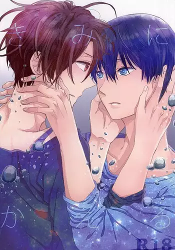 (Splash! 3) [Elia (Ai)] Kimi ni aeru (Free!)