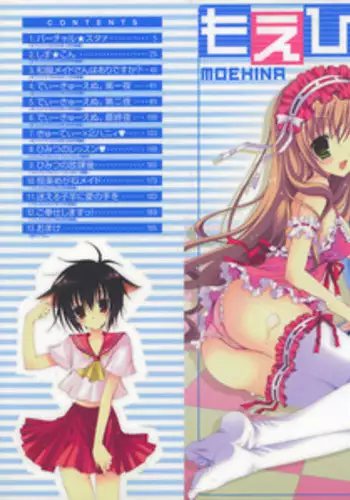 [Shirogane Hina] Moehina.