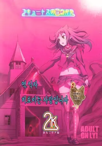 코퀴토스의 따뜻한 온도 2