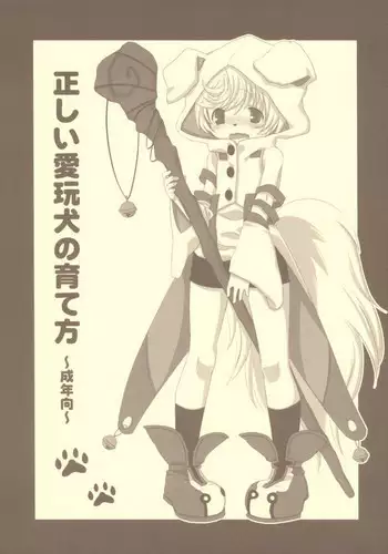 (C72) [Nekotank (Maitou)] Tadashii Aigan-ken no Sodate Kata (Shining Force EXA)