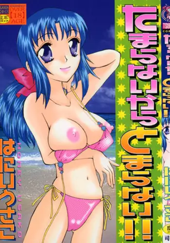 [Honey-Usako] Tamaranai Kara Tomaranai!!