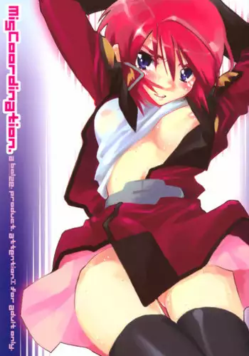 (SC28) [bolze. (rit.)] Miscoordination. (Mobile Suit Gundam SEED DESTINY)