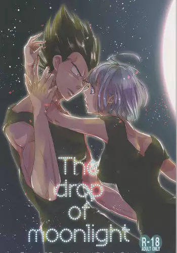 (C82) [Hatarakimasen.. (Oniyuri)] The drop of moonlight (Dragon Ball Z)