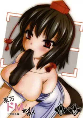 (C78) [Endless Requiem (yasha)] Touhou DoM Hoi Hoi ~Shameimaru Hen~ (Touhou Project)