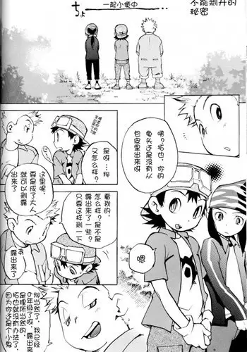 不能剥开的秘密（デジタルモンスター）