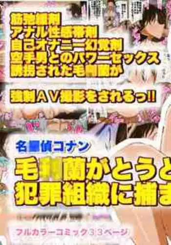 毛◎蘭がとうとう犯罪組織に捕まった！！ 名◎偵コナン 毛◎蘭vs空手六段男のAV撮影