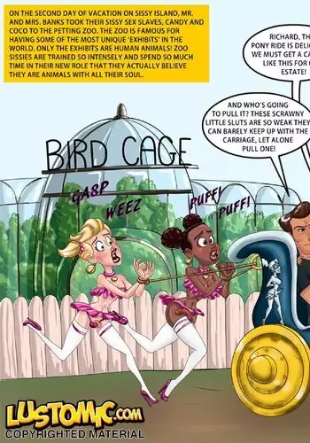 sissy island-petting zoo