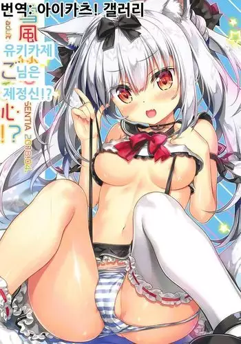 Yukikaze-sama wa Goranshin!? | ???? ?? ???!?