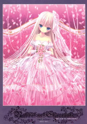 [Rabbit] habit net chronicles 2nd volume