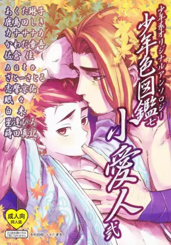 (Shota Scratch 4) [Rorororomo (Various)] Shounen Iro Zukan 7 ~Shao Airen 2~