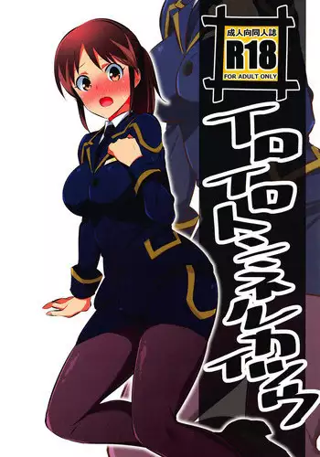 (C95) [Mattari House (Aitsu)] Iroiro Tunnel Kaitsuu (Shinkansen Henkei Robo Shinkalion)