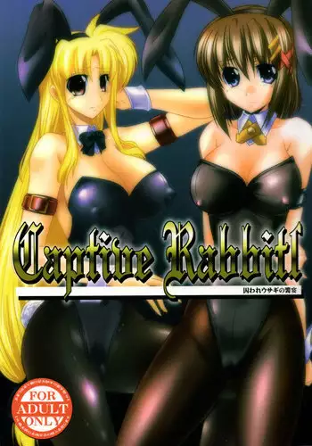 (C79) [WARP Co (45ACP)] Captive Rabbitl (Mahou Shoujo Lyrical Nanoha)