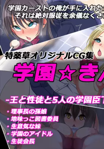 学園☆きんぐだむ