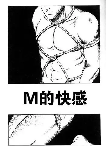 [????] ????? [Chinese]