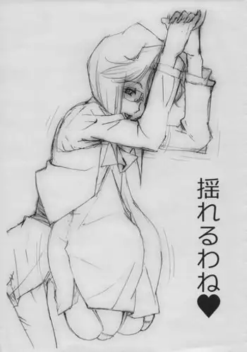 (C93) [Mimasaka Direct (Mimasaka Hideaki)] Yureru Wa Ne (Sonic Soldier Borgman)