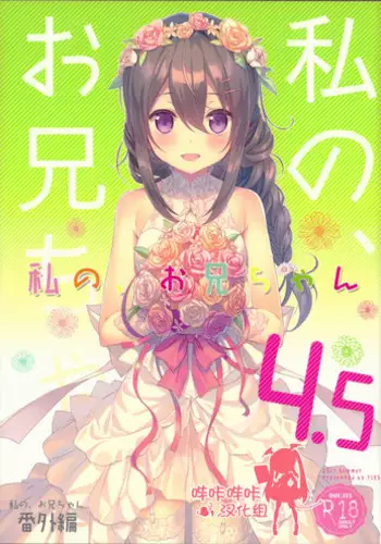 (C92) [TIES (Takei Ooki)] Watashi no, Onii-chan 4.5 Bangaihen [Chinese] [嗶咔嗶咔漢化組]