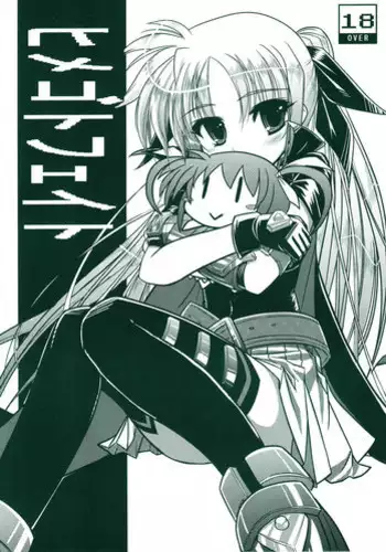 (SC35) [12-Jigen (Meshi)] Himegoto Fate (Magical Girl Lyrical Nanoha)