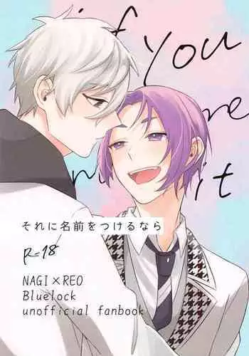 Sore ni Namae o Tsukeru nara