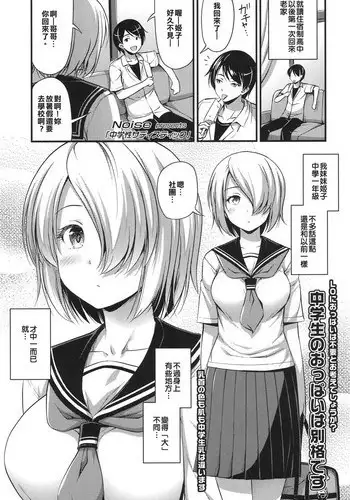 [Noise] Chuugakusei Sadistic (COMIC LO 2017-12) [Chinese] [哥哥射滿整個子宮的的滾燙精液漢化組] [Digital]