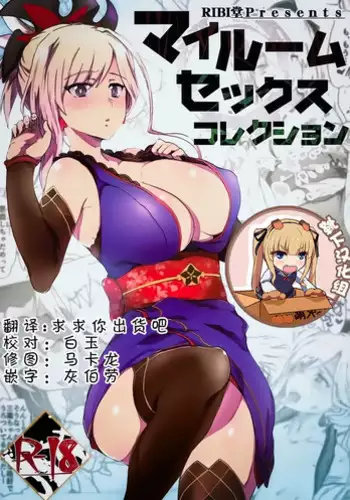 (C92) [RIBI Dou (Higata Akatsuki)] My Room Sex Collection (Fate/Grand Order) [Chinese] [靴下汉化组]