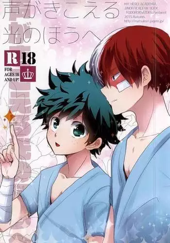 Koe ga Kikoeru Hikari no Hou e