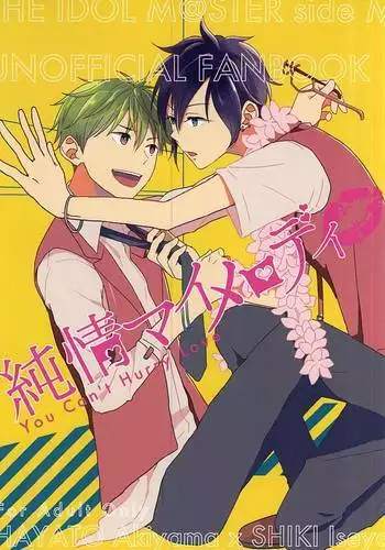 純情マイメロディ