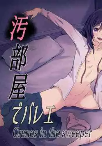 Obeya de Ballet Cranes in the sweeper